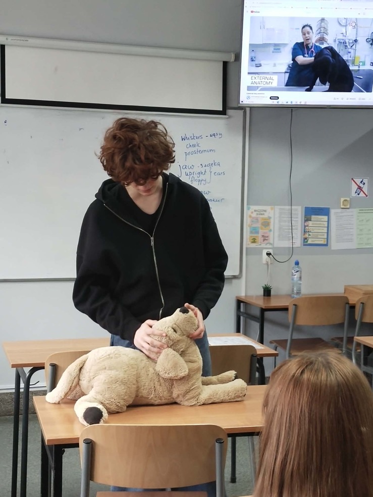 165878dd-4b9c-49ed-9344-78592312bfcc