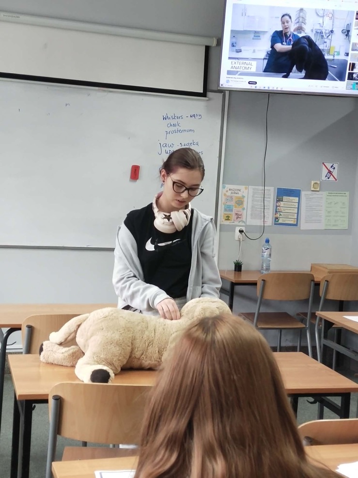 a0f77990-7e00-4e8e-b29c-5355acfdce20